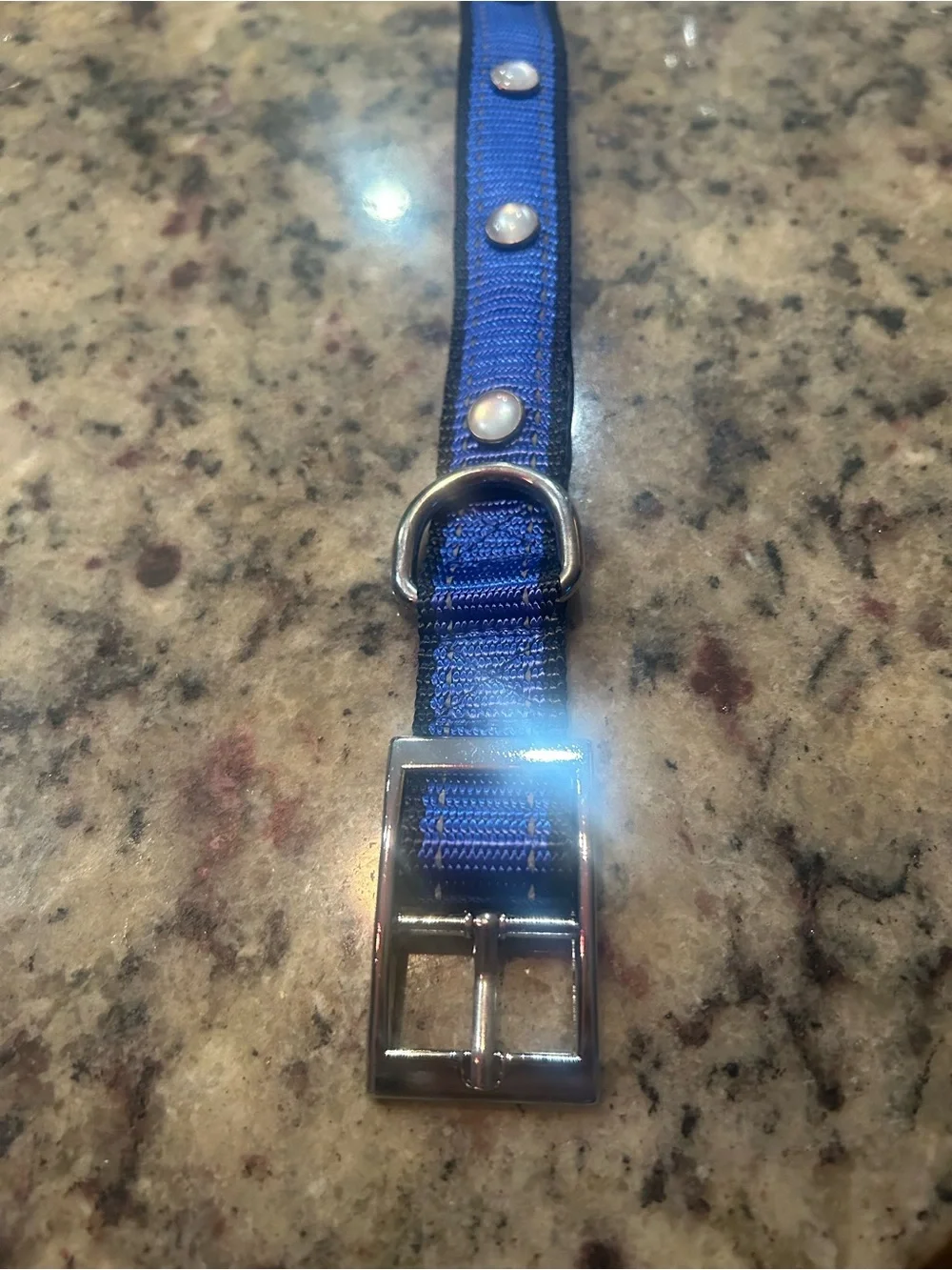 Dogs blue collar with light in size small
